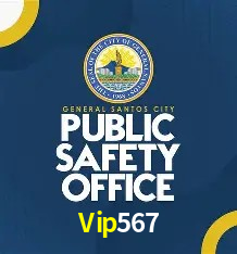 API Integration Vip567